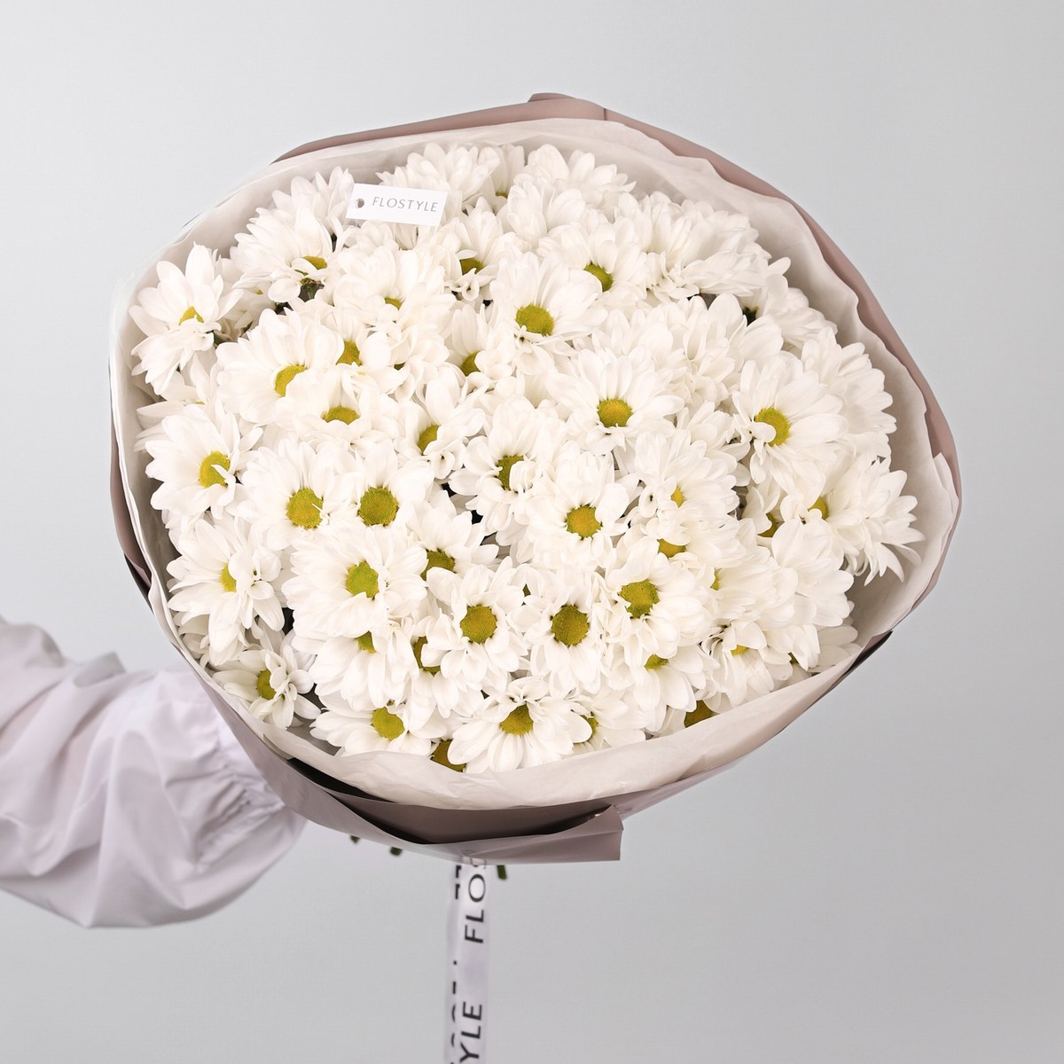 15 hrizantem romashka 673